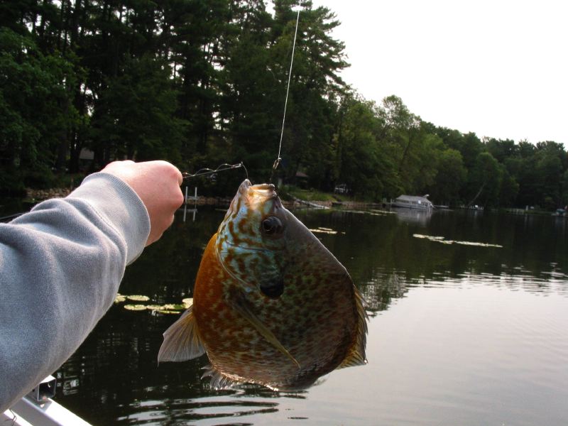 Fishing