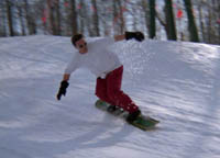 will carving