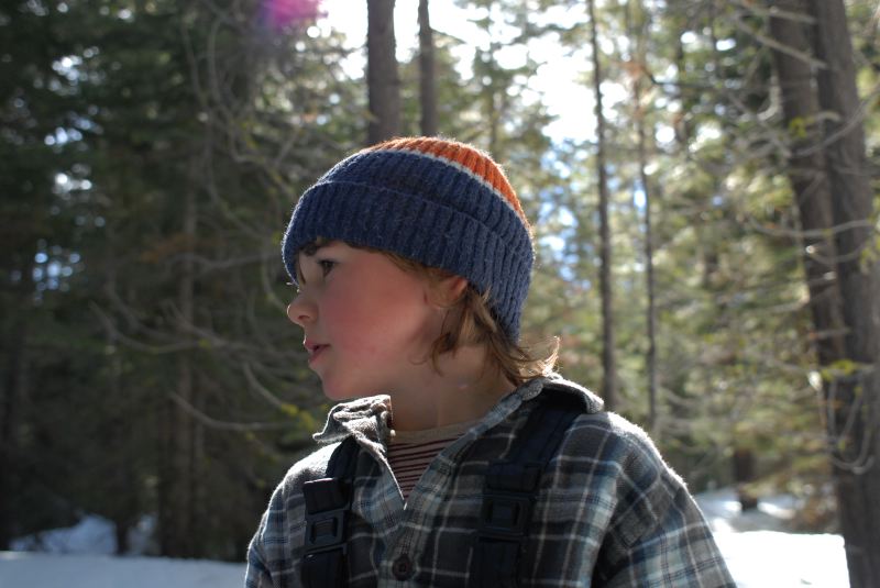 In the woods