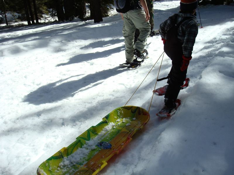 Sled